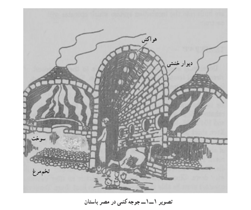 دستگاه جوجه کشی مصری