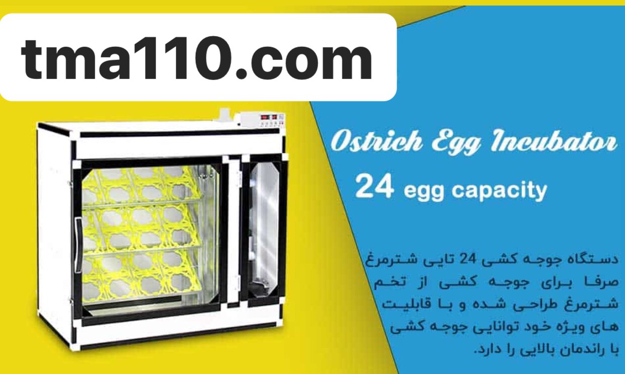 توضیح 24 شترمرغ