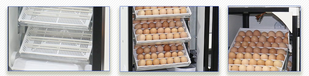 شانه همه کاره