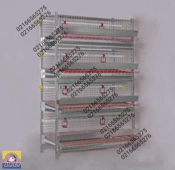 قفس پرورش طیور