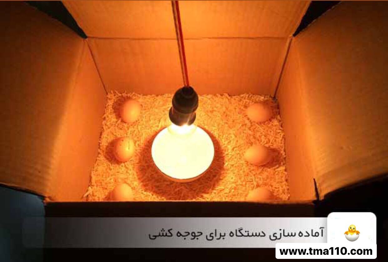 ساخت دستگاه جوجه کشی 2