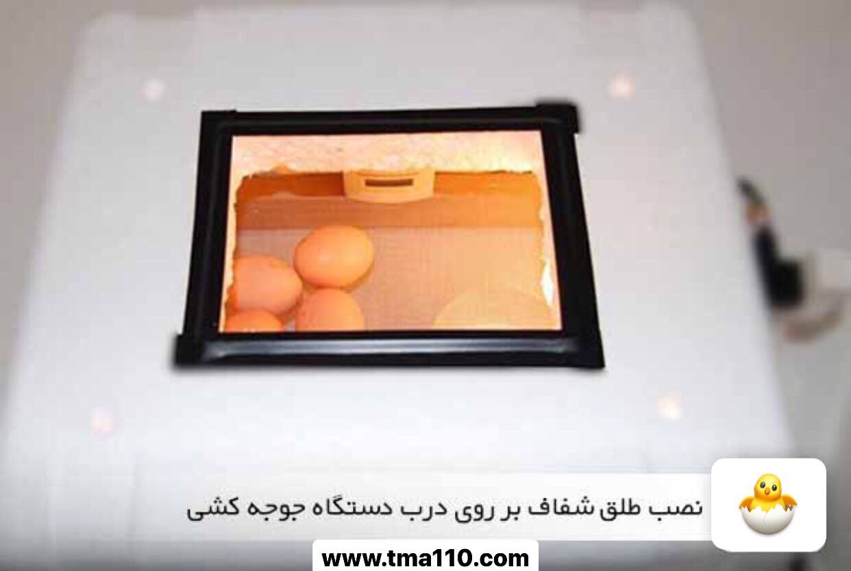 ساخت دستگاه جوجه کشی