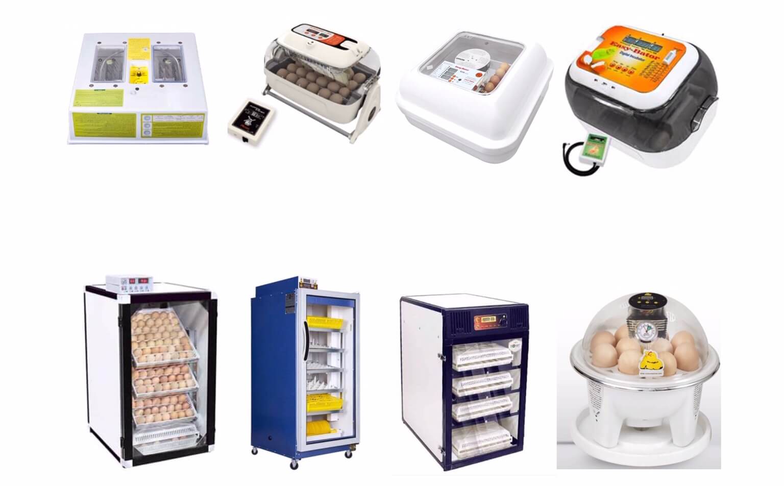 بهترین دستگاه جوجه کشی