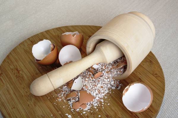 پوست تخمه مرغ