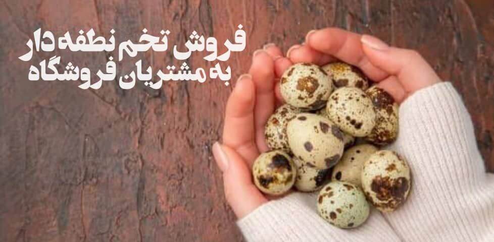 تخم نطفه دار