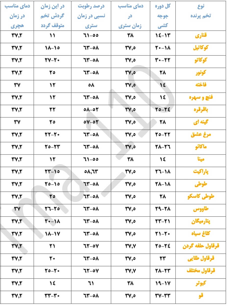 جدول دما و رطوبت تخم طوطی
