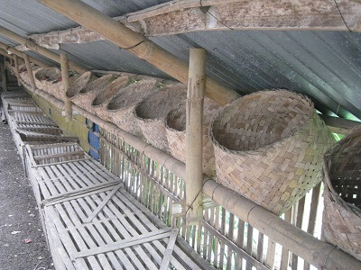 لانه های مدرن مرغ