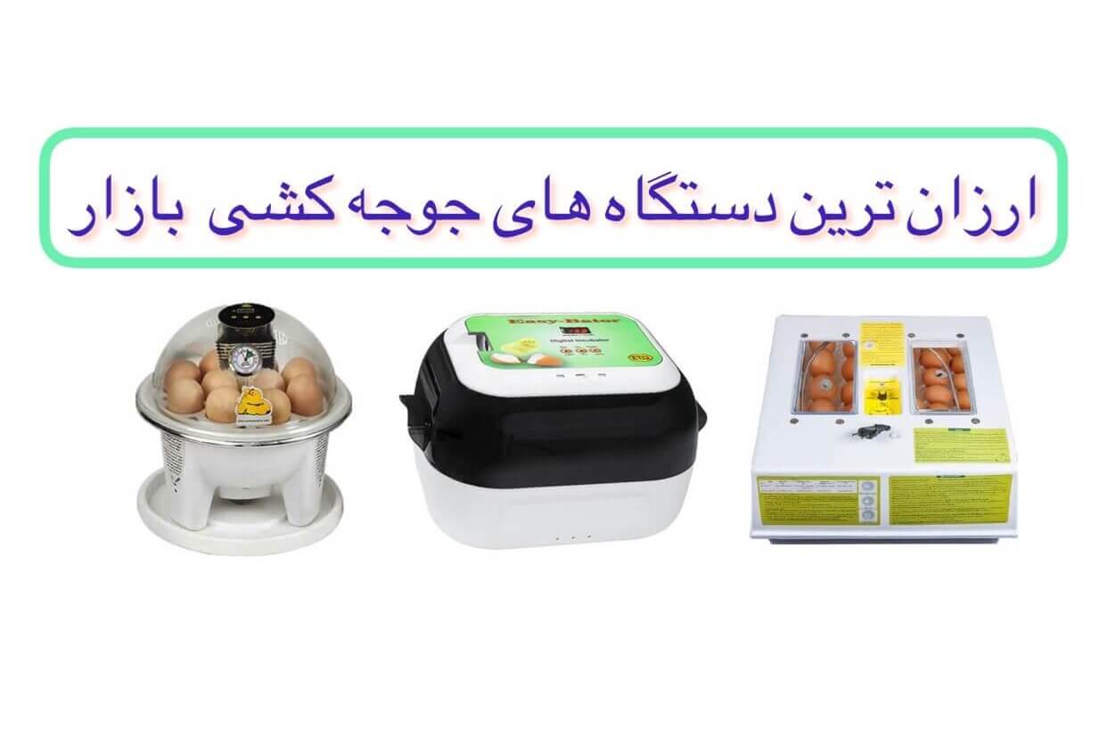 دستگاه جوجه کشی ارزان