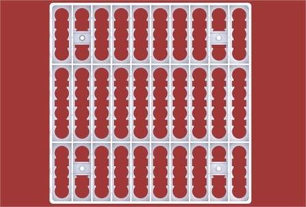 شانه بلدرچین