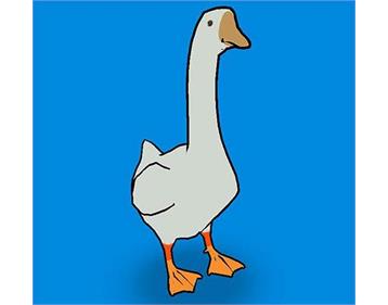 پرورش غاز و نگهداری آن