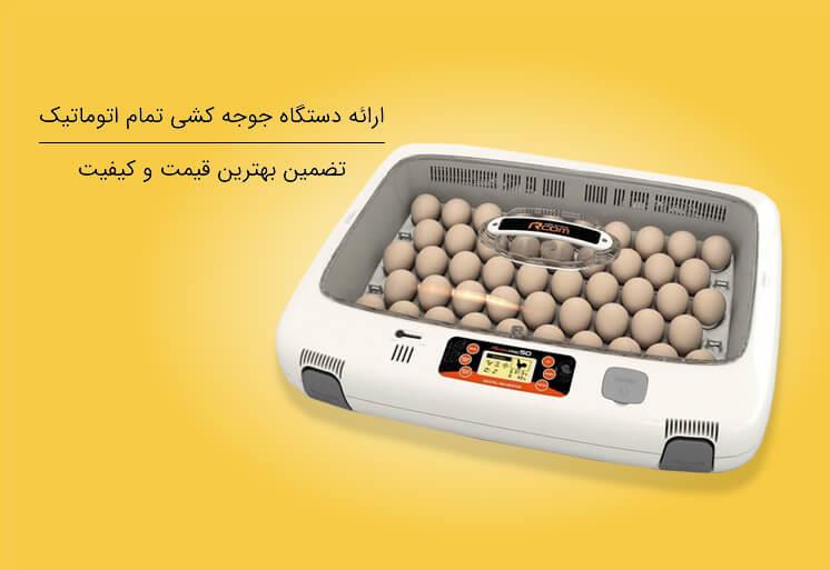عرضه دستگاه جوجه کشی تمام اتوماتیک