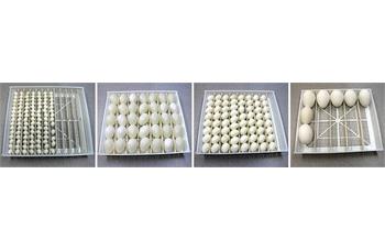 شانه همه کاره 336 تایی ماشین هواباتور