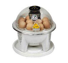 دستگاه جوجه کشی 10 تایی