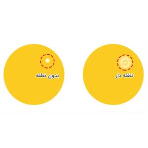 عکس نطفه مرغ