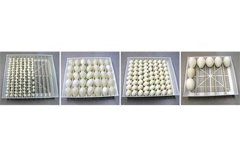 شانه همه کاره 168 تایی هواباتور