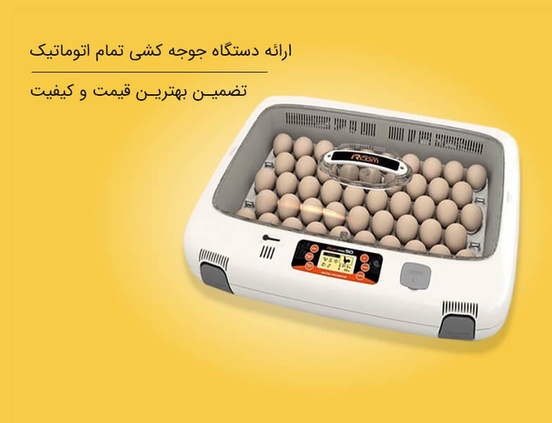 عرضه دستگاه جوجه کشی تمام اتوماتیک