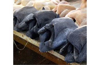 گوشت ایام سمانی