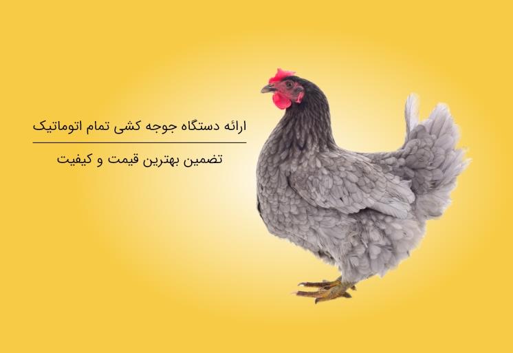 ارائه لوازم دستگاه جوجه کشی تمام اتوماتیک